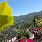 Desideri Agriturismo Dinoabbo Agroturismo