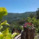Desideri Agriturismo Dinoabbo Agroturismo *