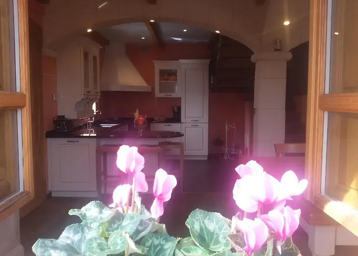 Desideri Agriturismo Dinoabbo