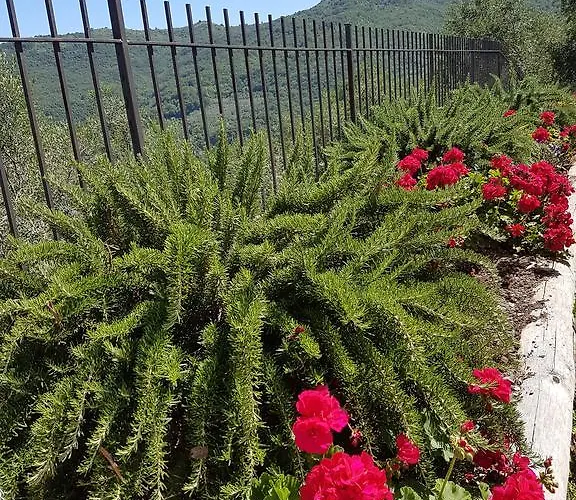 Desideri Agriturismo Dinoabbo *