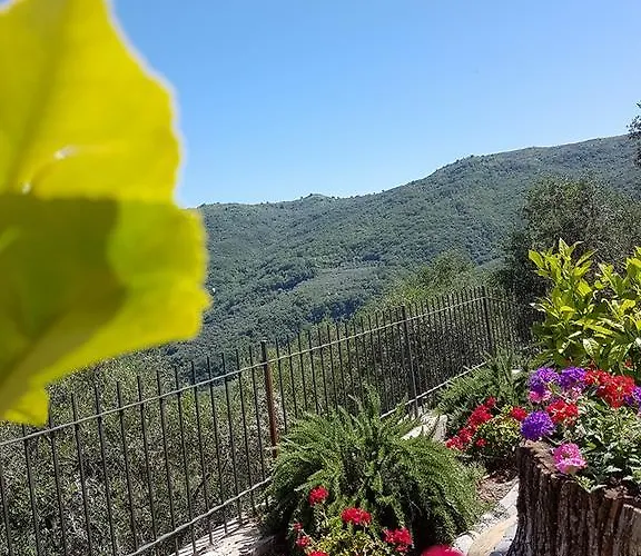 Desideri Agriturismo Dinoabbo 팜스테이