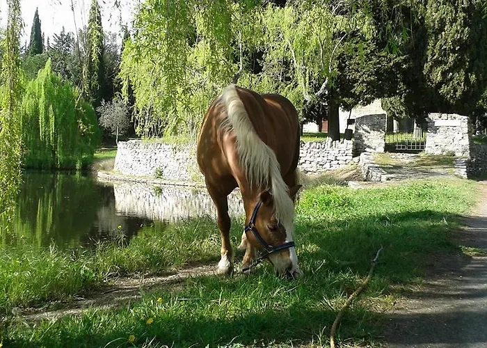 Desideri Agriturismo Dinoabbo 팜스테이