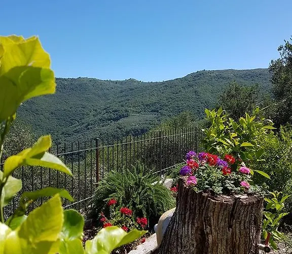 Desideri Agriturismo Dinoabbo 팜스테이 *