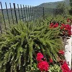 Desideri Agriturismo Dinoabbo *