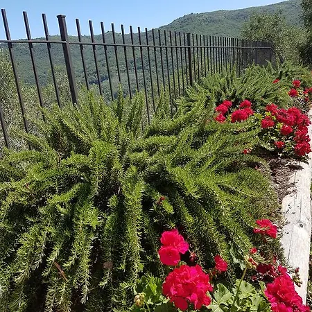 Desideri Agriturismo Dinoabbo *
