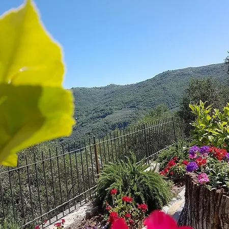 Desideri Agriturismo Dinoabbo Feriegård