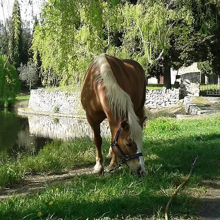 Desideri Agriturismo Dinoabbo 农家乐