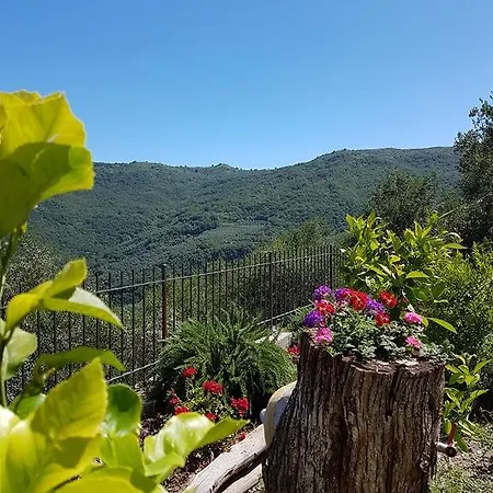 Desideri Agriturismo Dinoabbo Feriegård *