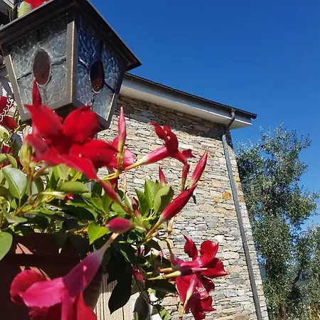 Feriegård Desideri Agriturismo Dinoabbo